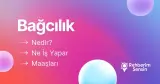 Bağcılık Nedir? Ne İş Yapar? Maaşları