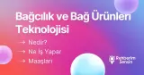 Bağcılık ve Bağ Ürünleri Teknolojisi Nedir? Ne İş Yapar? Maaşları