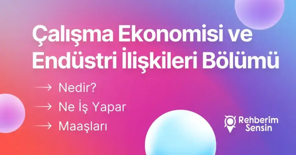 Çalışma Ekonomisi ve Endüstri İlişkileri Bölümü Nedir? Ne İş Yapar? Maaşları