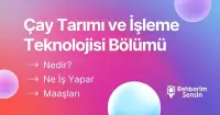 Çay Tarımı ve İşleme Teknolojisi Bölümü Nedir? Ne İş Yapar? Maaşları