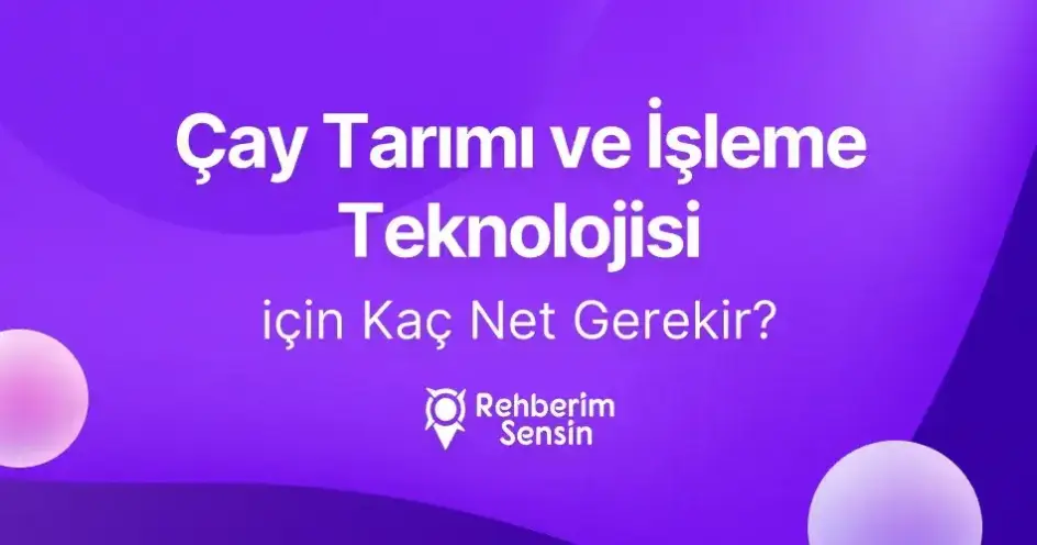 Çay Tarımı ve İşleme Teknolojisi (2 Yıllık) için Kaç Net Gerekir?