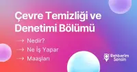 Çevre Temizliği ve Denetimi Bölümü Nedir? Ne İş Yapar? Maaşları