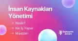İnsan Kaynakları Yönetimi Nedir? Ne İş Yapar? Maaşları