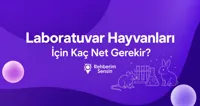 Laboratuvar Hayvanları İçin Kaç Net Gerekir?
