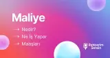 Maliye Nedir? Ne İş Yapar? Maaşları