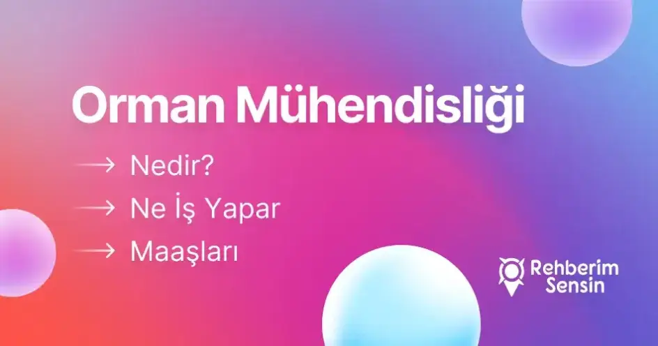 Orman Mühendisliği Nedir? Ne İş Yapar? Maaşları