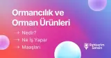 Ormancılık ve Orman Ürünleri Nedir? Ne İş Yapar? Maaşları