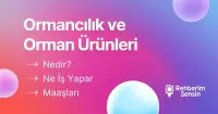 Ormancılık ve Orman Ürünleri Nedir? Ne İş Yapar? Maaşları