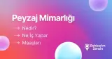 Peyzaj Mimarlığı Nedir? Ne İş Yapar? Maaşları