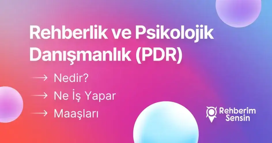 Rehberlik ve Psikolojik Danışmanlık (PDR) Nedir? Ne İş Yapar? Maaşları