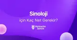 Sinoloji için Kaç Net Gerekir?