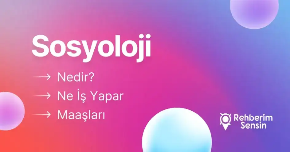 Sosyoloji Nedir? Ne İş Yapar? Maaşları