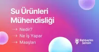 Su Ürünleri Mühendisliği Nedir? Ne İş Yapar? Maaşları