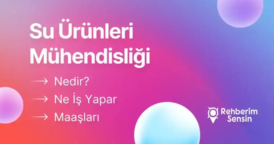Su Ürünleri Mühendisliği Nedir? Ne İş Yapar? Maaşları