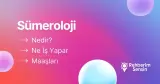 Sümeroloji Nedir? Ne İş Yapar? Maaşları