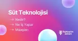 Süt Teknolojisi Nedir? Ne İş Yapar? Maaşları