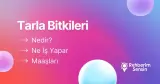 Tarla Bitkileri Nedir? Ne İş Yapar? Maaşları