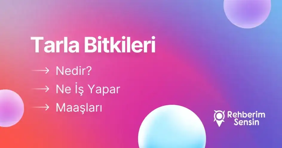 Tarla Bitkileri Nedir? Ne İş Yapar? Maaşları