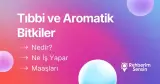 Tıbbi ve Aromatik Bitkiler Nedir? Ne İş Yapar? Maaşları