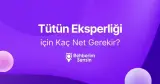 Tütün Eksperliği için Kaç Net Gerekir?