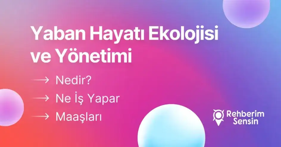 Yaban Hayatı Ekolojisi ve Yönetimi Nedir? Ne İş Yapar? Maaşları