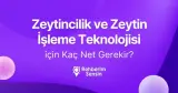 Zeytincilik ve Zeytin İşleme Teknolojisi (2 Yıllık) İçin Kaç Net Gerekir?