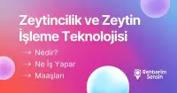 Zeytincilik ve Zeytin İşleme Teknolojisi Nedir? Ne İş Yapar? Maaşları